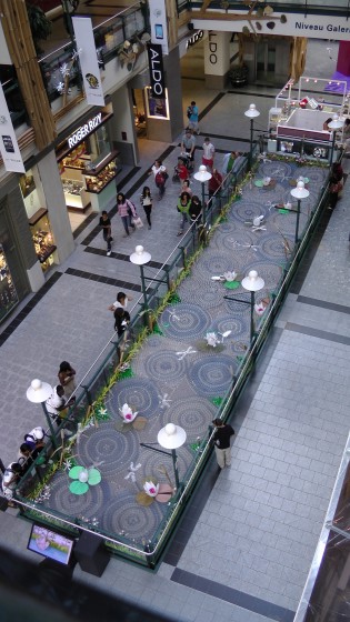 The view from above