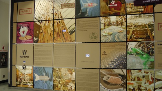 Part of the didactic display for "Fragile" by Roadsworth and Brian Armstrong at the Eaton Centre.