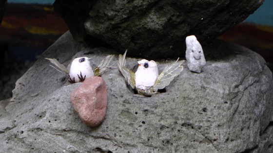 Two bird rocks being watched by a happy rock.