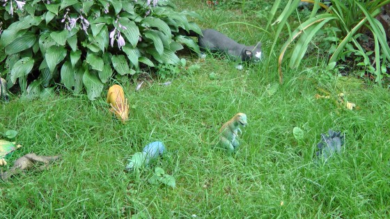 The dinosaurs The dinosaurs