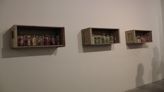 The Fruit Cellar of Miss H. by Thea Haines