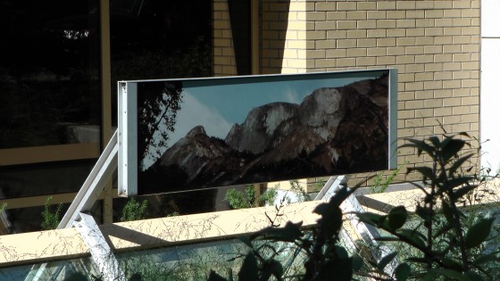 A photograph outside of Dawson College