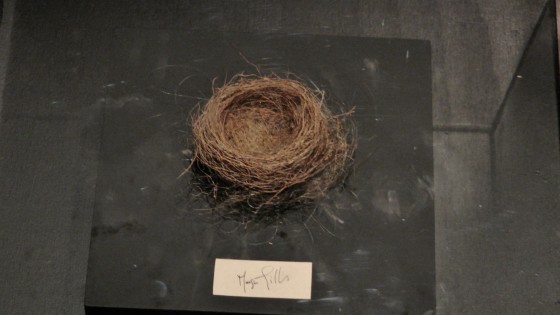 Bird's Nest made from Margie Gillis' hair from 1984 Bird's Nest made from Margie Gillis' hair from 1984