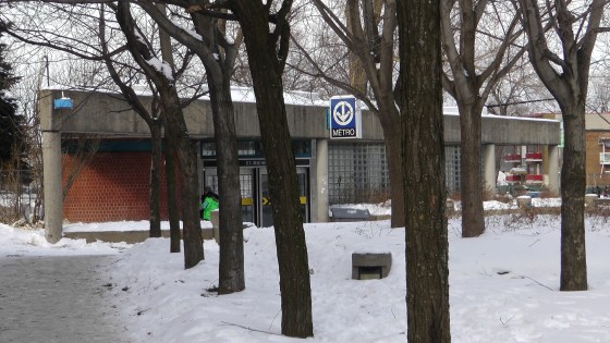 The trees in front of the southern entrance.