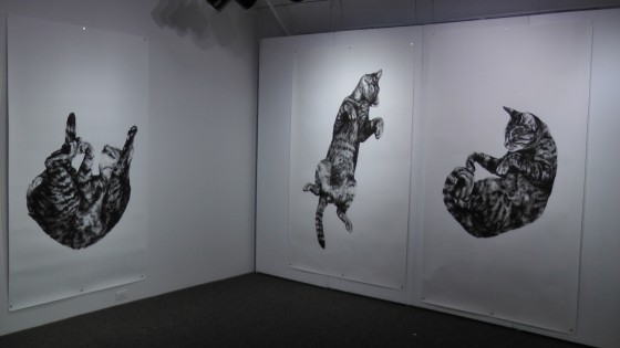 Kate Puxley, Animals in the City: Gatto Italiano #3, #4 & #5, charcoal on paper. approx 85" x 52"/ch Kate Puxley, Animals in the City: Gatto Italiano #3, #4 & #5, charcoal on paper. approx 85" x 52"/ch