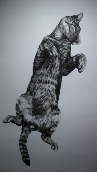 Kate Puxley: Animals in the City: Gatto Italiano #4, Charcoal on Paper, approx 85" x 52" Kate Puxley: Animals in the City: Gatto Italiano #4, Charcoal on Paper, approx 85" x 52"