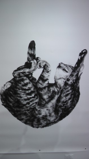 Kate Puxley: Animals in the City: Gatto Italiano #3, Charcoal on Paper, approx 85" x 52" Kate Puxley: Animals in the City: Gatto Italiano #3, Charcoal on Paper, approx 85" x 52"