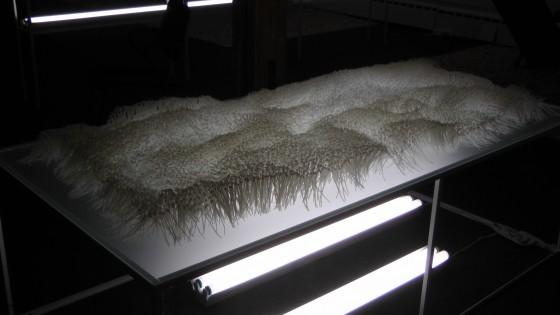 Elisabeth Picard, Flot, 2011, zip ties, glass, painted steel, fluorescent tubes, 28" x 76" x 39"