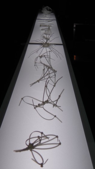 Elisabeth Picard, Constructions, 2011, zip ties, glass, painted steel, fluorescent tubes, 48" x 147" x 10" Elisabeth Picard, Constructions, 2011, zip ties, glass, painted steel, fluorescent tubes, 48" x 147" x 10"