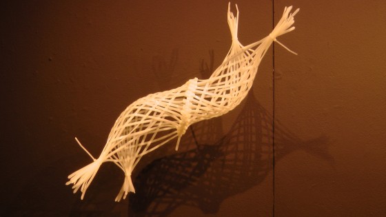 Elisabeth Picard, Macro organismes, 2011-2012, zip ties, painted steel hooks
