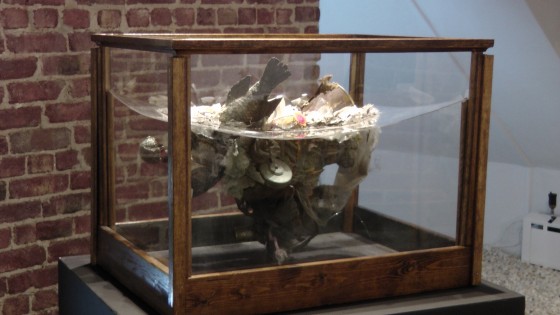 Kate Puxley, Still Life with Mouse, Naturalized tilapia, bird, mouse, various plastics, plexiglas, wire Kate Puxley, Still Life with Mouse, Naturalized tilapia, bird, mouse, various plastics, plexiglas, wire