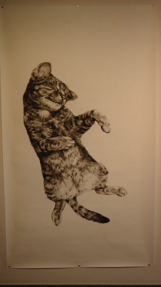 Kate Puxley: Animals in the City: Gatto Italiano #1, Charcoal on Paper, approx 85" x 52" Kate Puxley: Animals in the City: Gatto Italiano #1, Charcoal on Paper, approx 85" x 52"