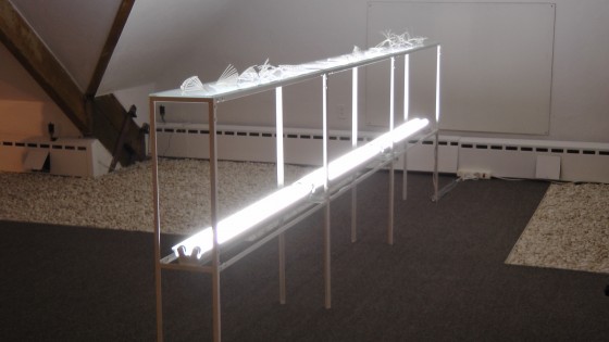 Elisabeth Picard, Constructions, 2011, zip ties, glass, painted steel, fluorescent tubes, 48" x 147" x 10" Elisabeth Picard, Constructions, 2011, zip ties, glass, painted steel, fluorescent tubes, 48" x 147" x 10"