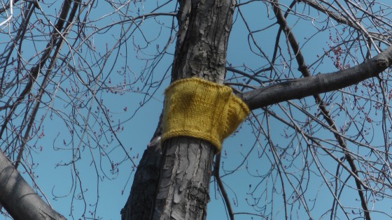 Madeleine Pippa Bartlett, Tree-sweater, 2012 Madeleine Pippa Bartlett, Tree-sweater, 2012