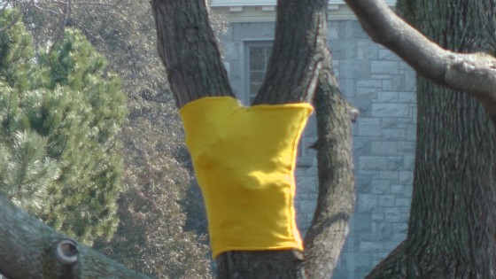 Madeleine Pippa Bartlett, Tree-sweater, 2012 Madeleine Pippa Bartlett, Tree-sweater, 2012