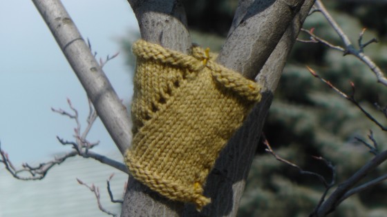 Madeleine Pippa Bartlett, Tree-sweater, 2012 Madeleine Pippa Bartlett, Tree-sweater, 2012