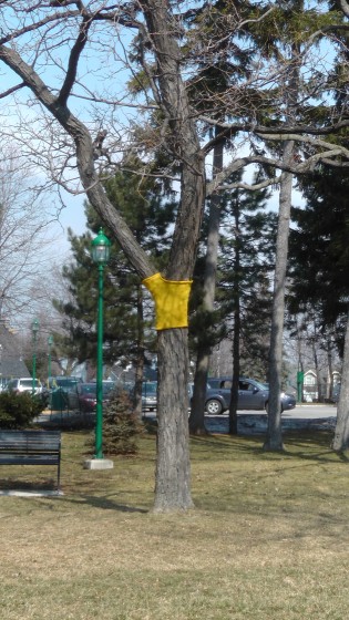 Madeleine Pippa Bartlett, Tree-sweater, 2012 Madeleine Pippa Bartlett, Tree-sweater, 2012