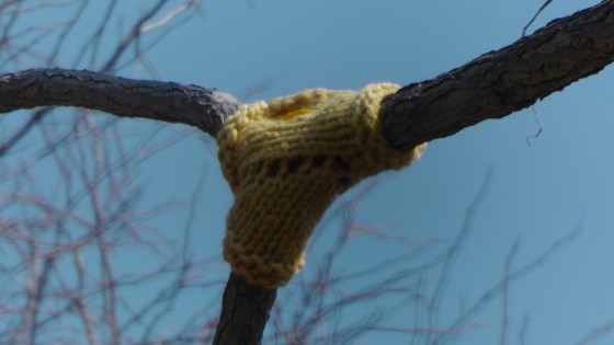 Madeleine Pippa Bartlett, Tree-sweater, 2012 Madeleine Pippa Bartlett, Tree-sweater, 2012