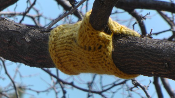 Madeleine Pippa Bartlett, Tree-sweater, 2012 Madeleine Pippa Bartlett, Tree-sweater, 2012
