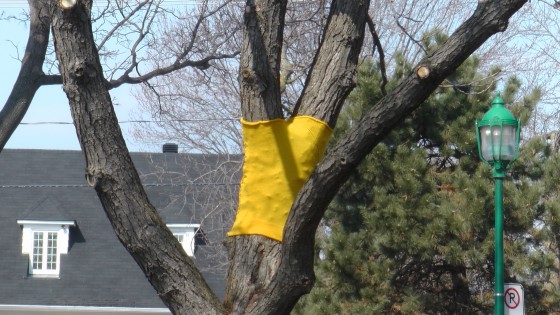 Madeleine Pippa Bartlett, Tree-sweater, 2012 Madeleine Pippa Bartlett, Tree-sweater, 2012