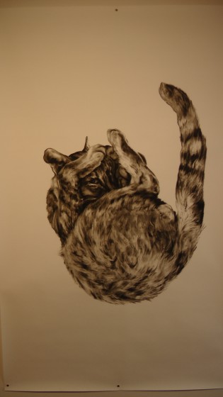 Kate Puxley: Animals in the City: Gatto Italiano #2, Charcoal on Paper, approx 85" x 52" Kate Puxley: Animals in the City: Gatto Italiano #2, Charcoal on Paper, approx 85" x 52"