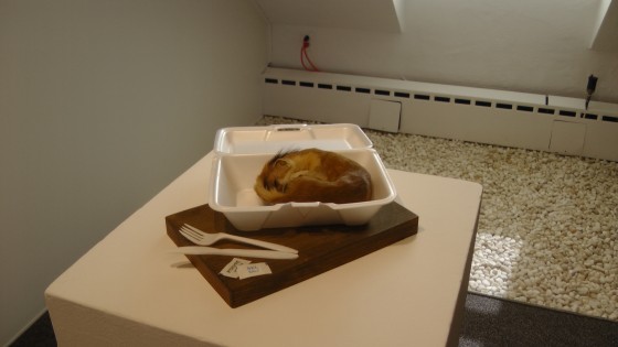 Kate Puxley, Take Out, ‘Habitat’ series, Naturalized weasel, styrofoam container, plastic fork Kate Puxley, Take Out, ‘Habitat’ series, Naturalized weasel, styrofoam container, plastic fork