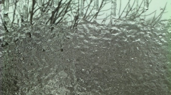 Bettina Forget's One Random Year Still Frame March 6