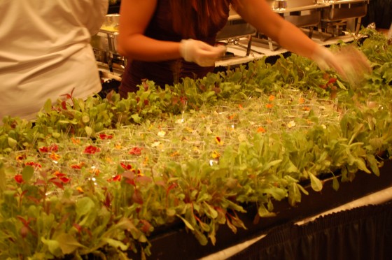 The food at the Table of Hope The food at the Table of Hope