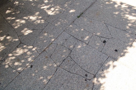The Westmount Square Plaza