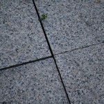 20120521Max 249