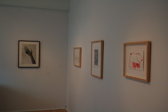 Installation view of Jana Sterbak's Back Home at Laroche/Joncas