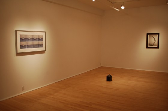 Installation view of Jana Sterbak's Back Home at Laroche/Joncas