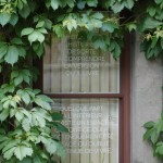 Diary of a Neighbourhood: a literary work by Michael Toppings