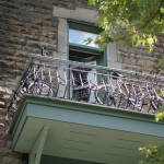 Diary of a Neighbourhood: a literary work by Michael Toppings