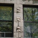 Diary of a Neighbourhood: a literary work by Michael Toppings